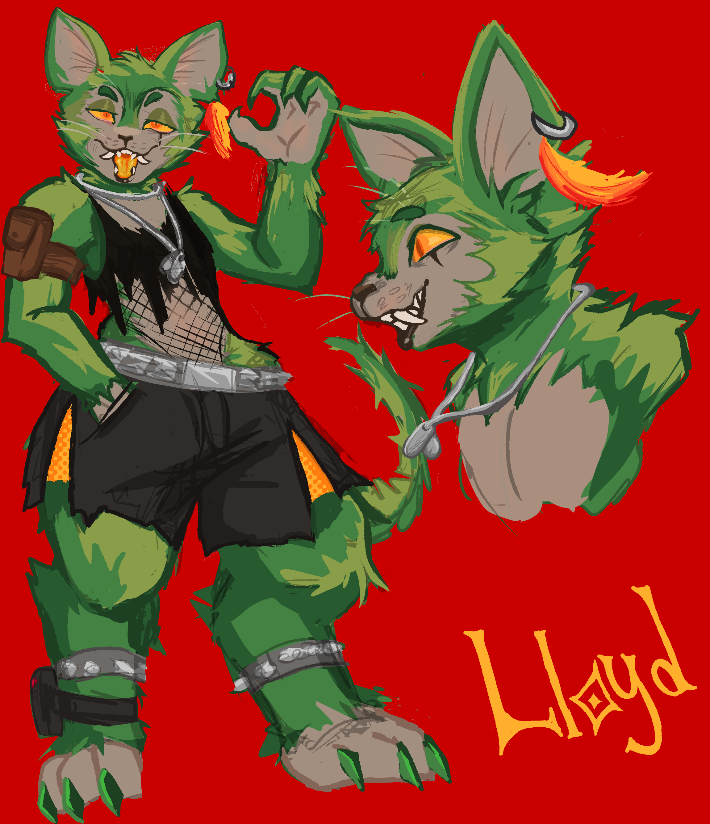 Lloyd concept